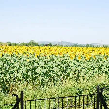 Bed & Breakfast Il Sole