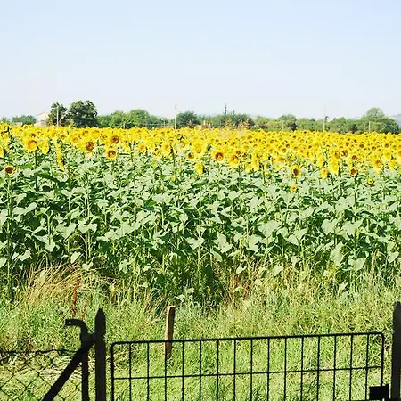 Il Sole Alojamento de Acomodação e Pequeno-almoço Forlì