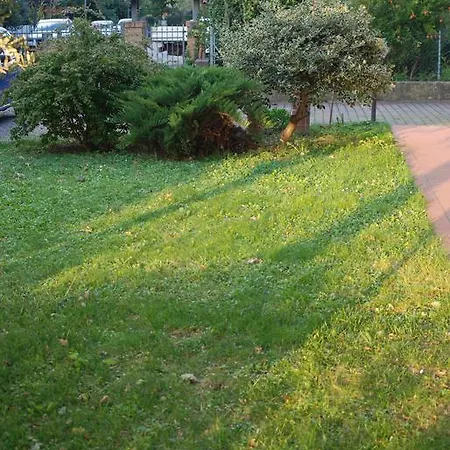 Il Sole * Forli