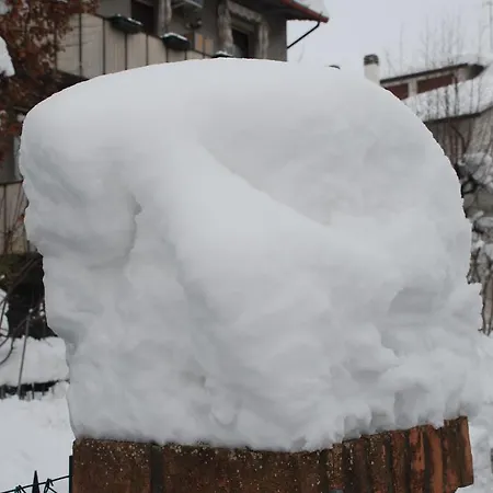 Frühstückspension Il Sole Forlì