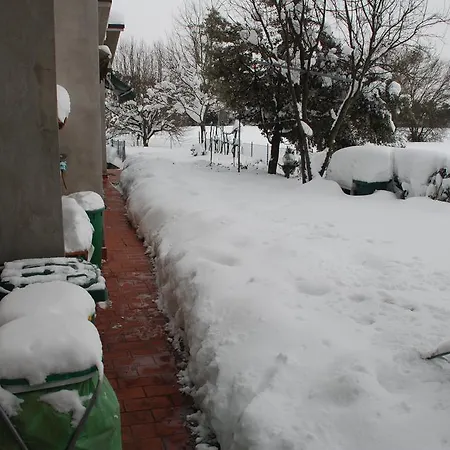 Il Sole *