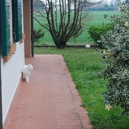 Il Sole * Forli