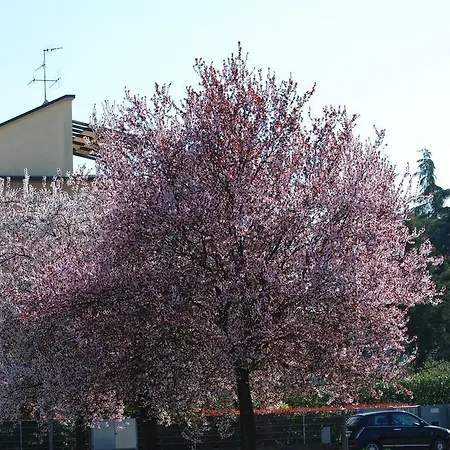 Il Sole Frühstückspension