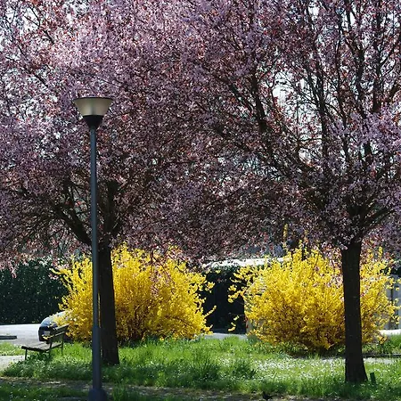 Frühstückspension Il Sole Forlì