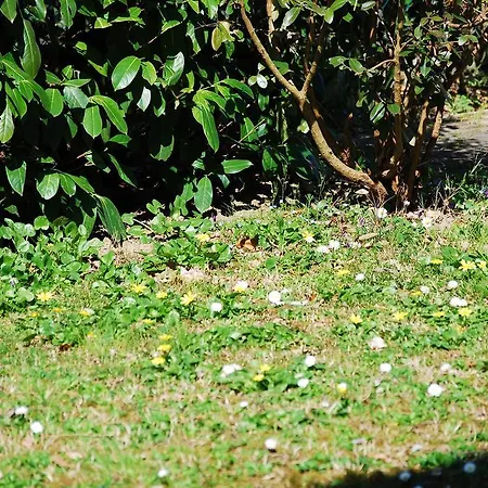 Frühstückspension Il Sole Forlì
