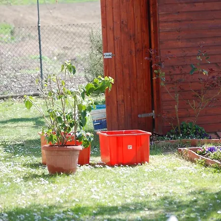 Il Sole